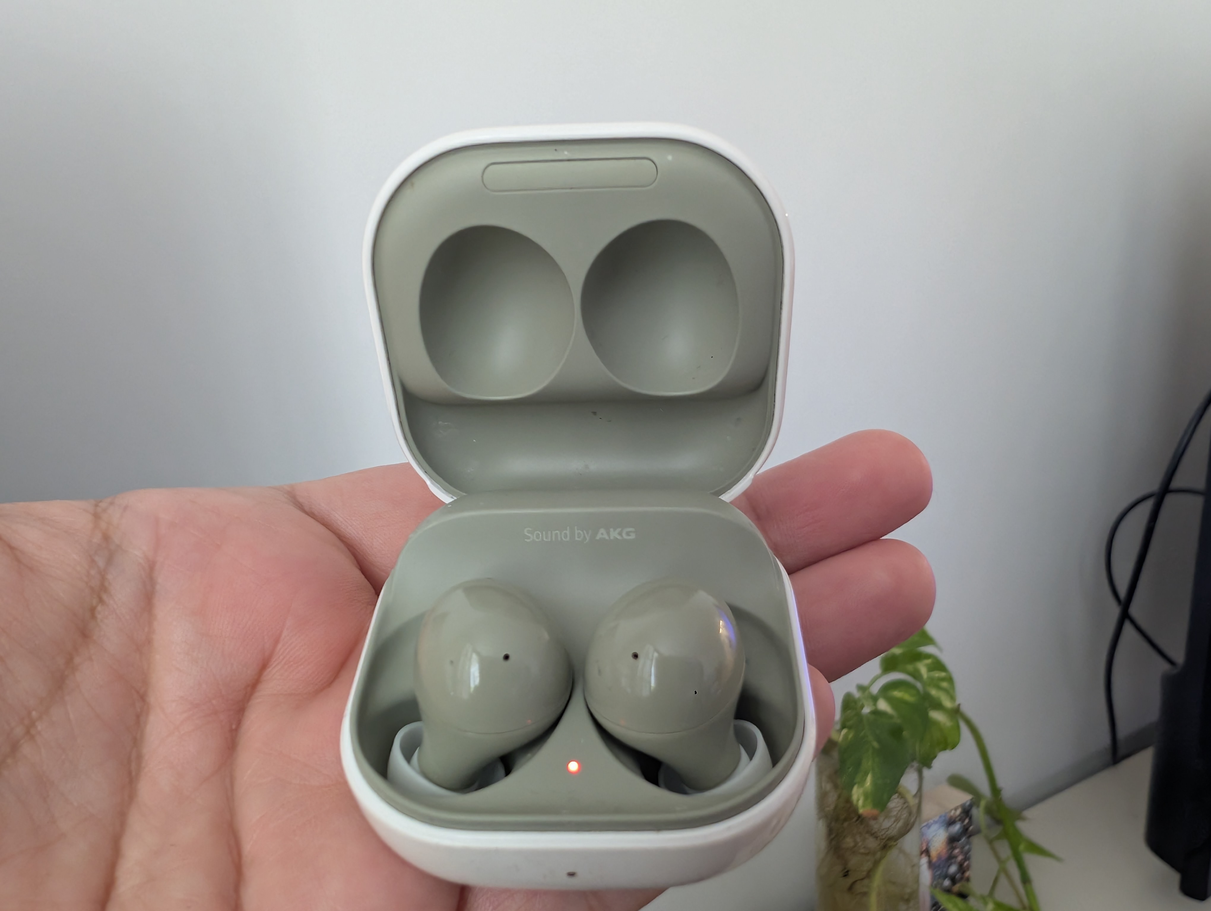 PXL 20260408 150622014