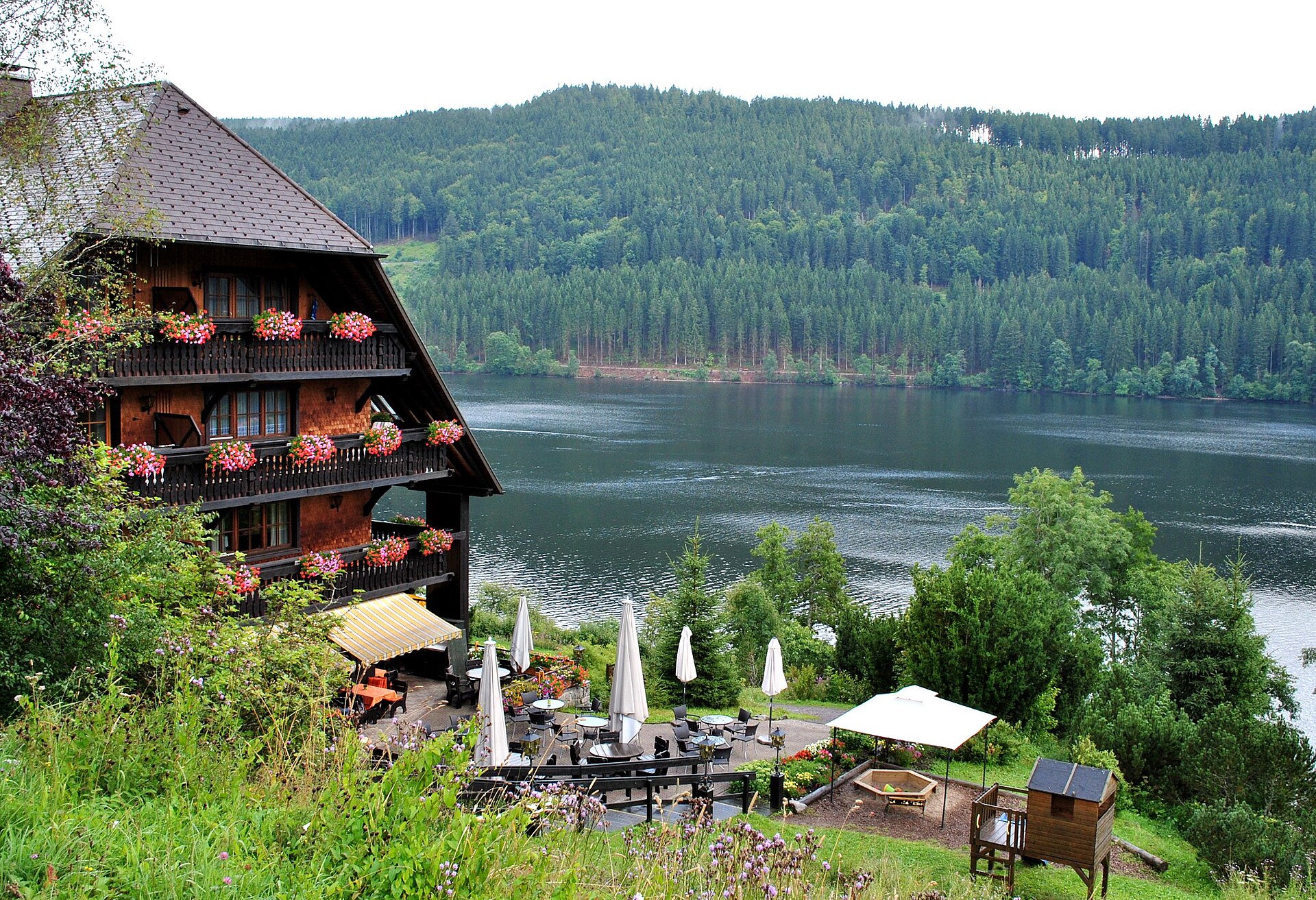 hero black forest